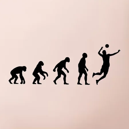 Evolúcia volejbal smeč