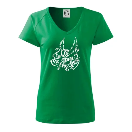 Harry - Zlatá strela