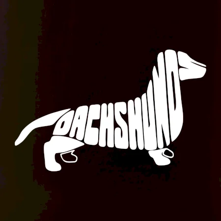 Jazvečík - Dachshund