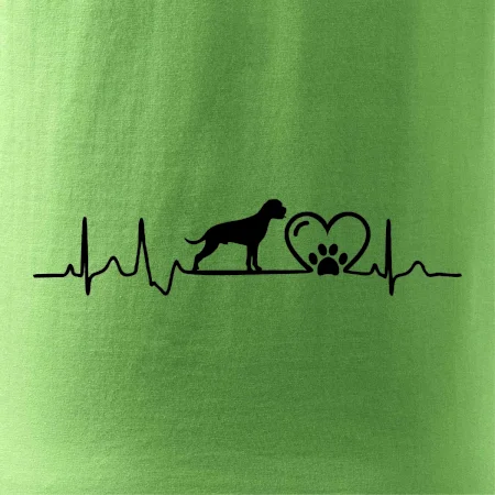 Nemecký boxer EKG
