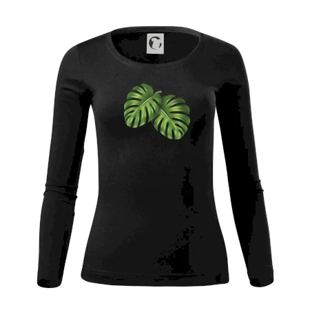 Monstera - dva listy