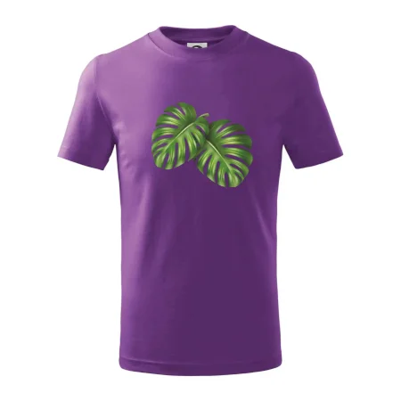 Monstera - dva listy