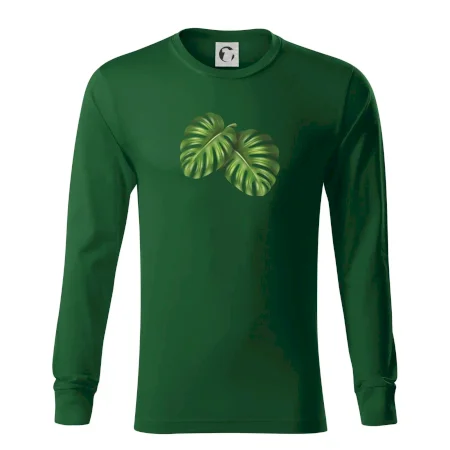 Monstera - dva listy