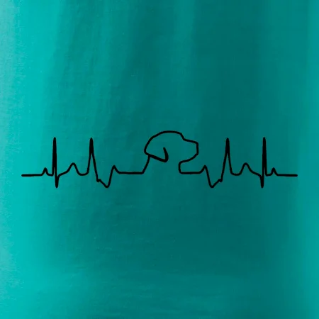 Labradorský retriever‎ EKG