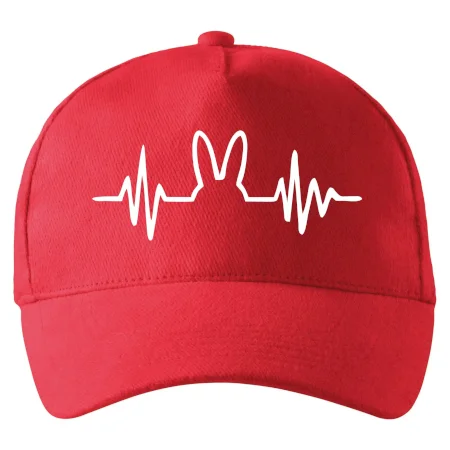 EKG zajac