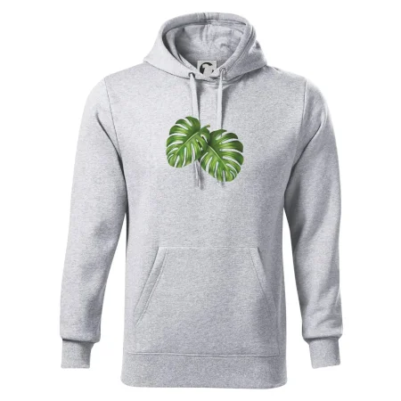 Monstera - dva listy