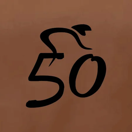 Cyklista oslavuje päťdesiatku (50)