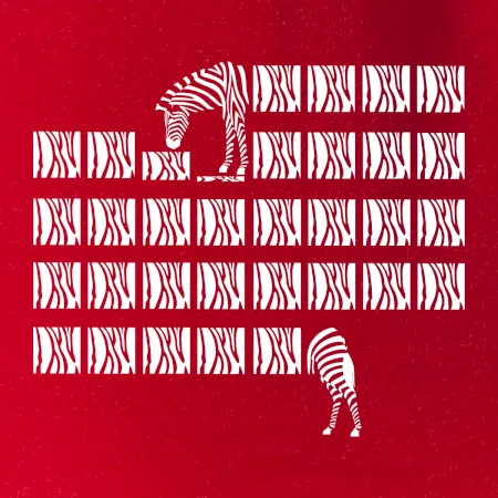 Zebra dlhá