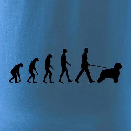 Evolúcia pes Briard