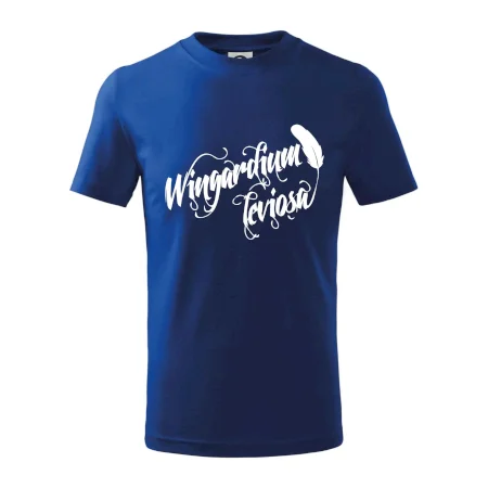 Harry - Wingardium Leviosa