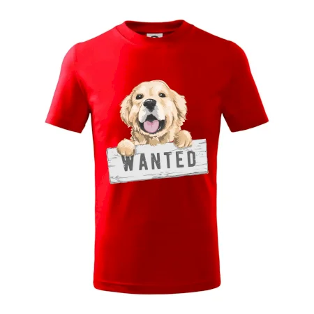 Zlatý retriever - šteniatko wanted