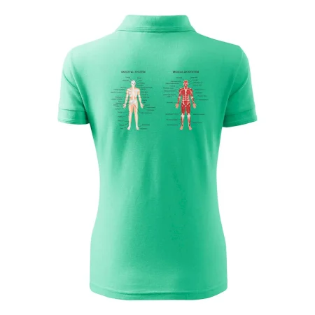 Skelet and Moscular system