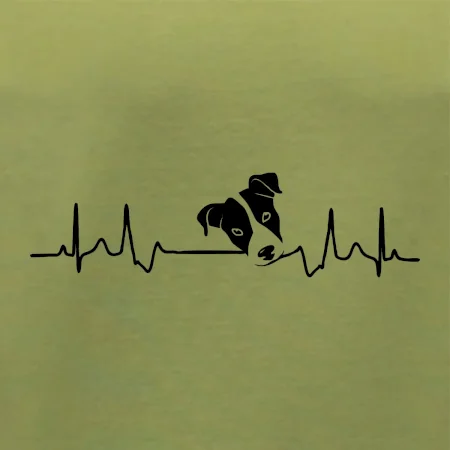Jack Russell Terriér Ekg