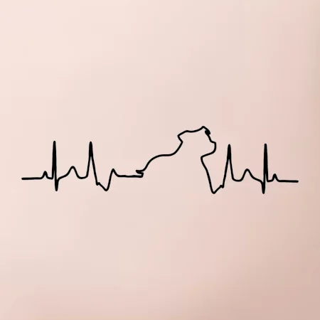 Stafordšírsky bulteriér ‎ EKG