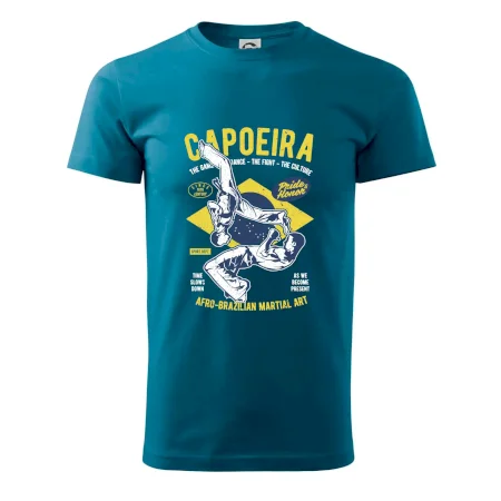 Capoeira  Afro-brazil art
