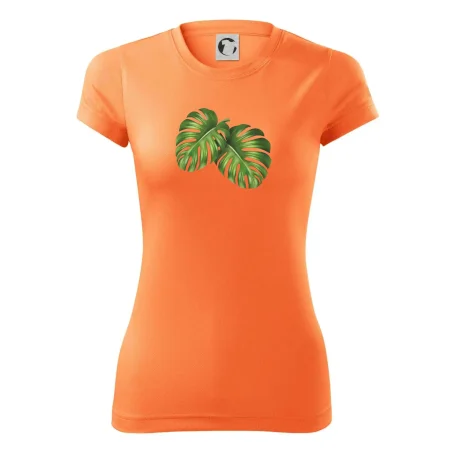 Monstera - dva listy