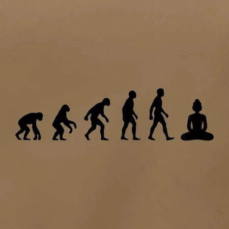 Evoluce budha