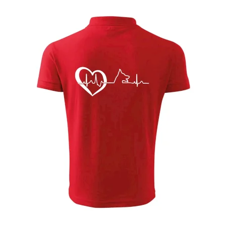 Nemecký ovčiak ekg