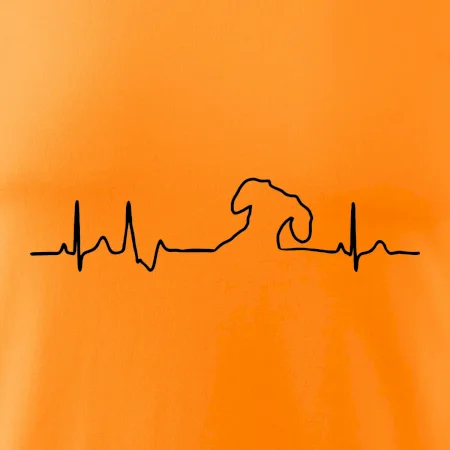Jazvečík EKG