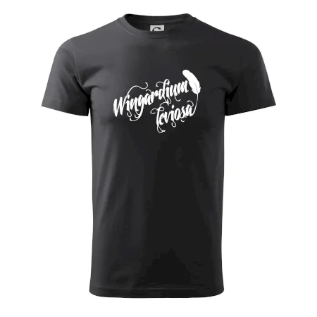 Harry - Wingardium Leviosa