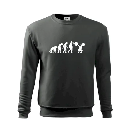 Evolution fitness