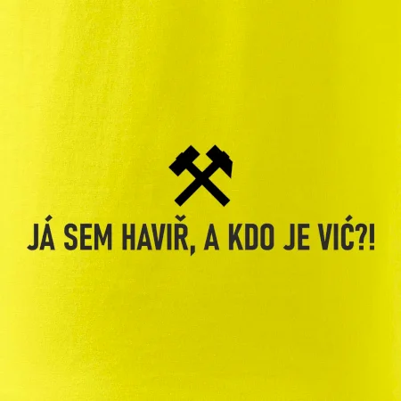 JÁ SEM HAVIŘ, A KDO JE VIĆ?!﻿