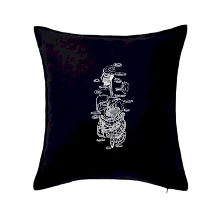 Skica ľudských orgánov