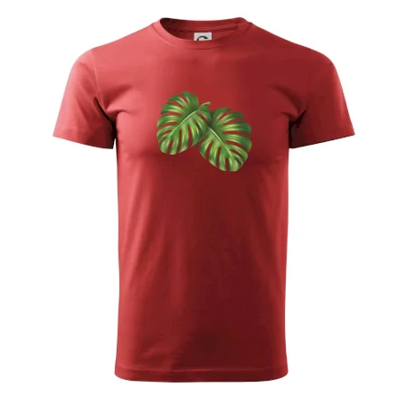 Monstera - dva listy