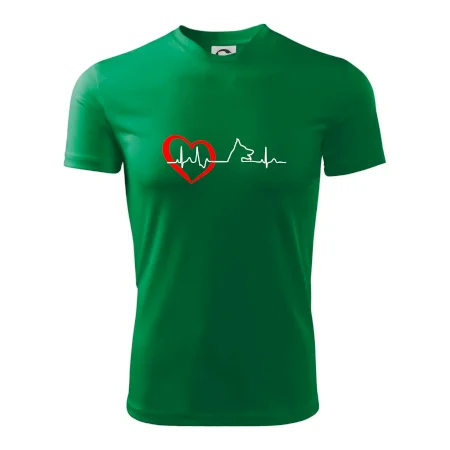 Nemecký ovčiak ekg