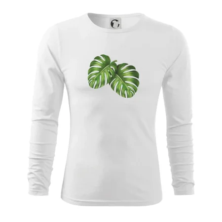 Monstera - dva listy