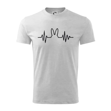 EKG zajac