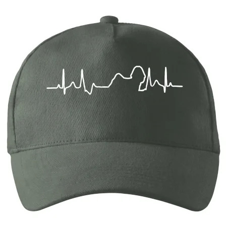 Shih-tzu ekg obrys