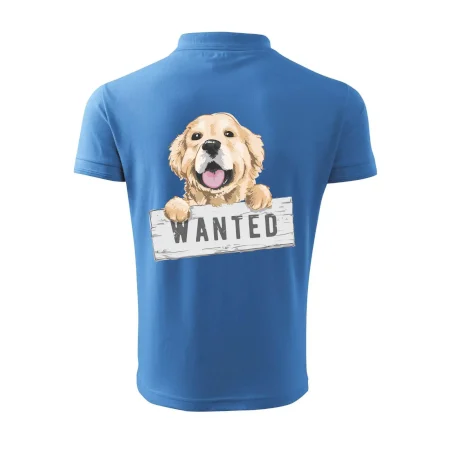 Zlatý retriever - šteniatko wanted