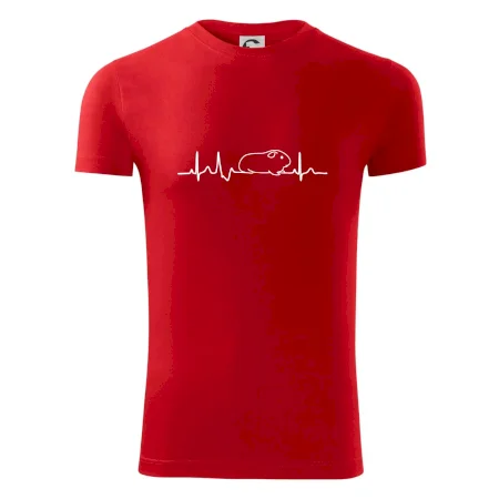 EKG morča