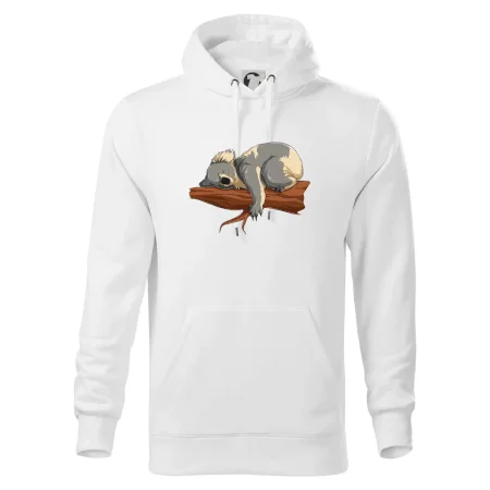 Koala na vetve