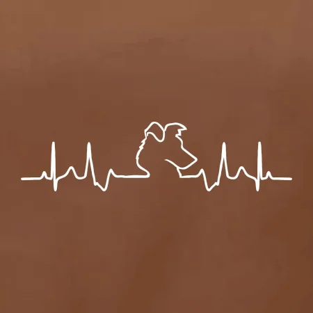 Borderská kólia EKG