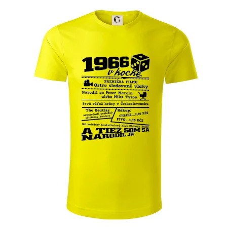 1966 v kocke