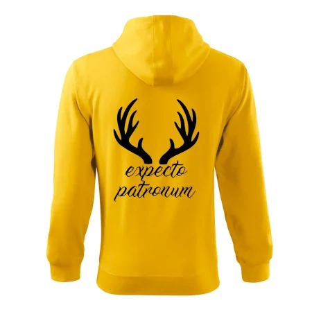 Harry - Expecto patronum