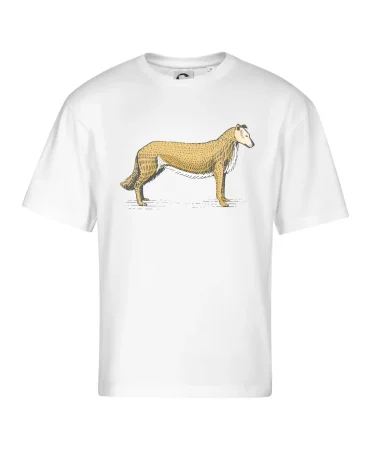 Vintage Collie