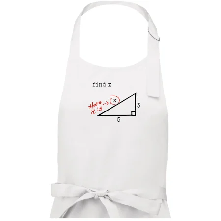 Find X - geometria