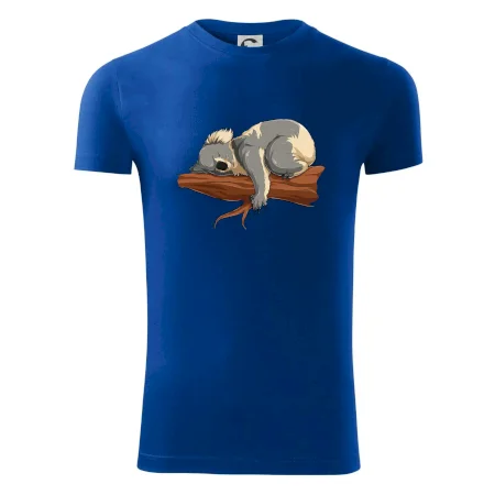 Koala na vetve