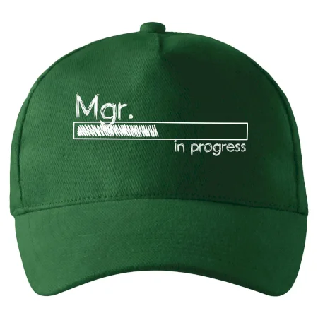 In progress titul Mgr. magister / magistra