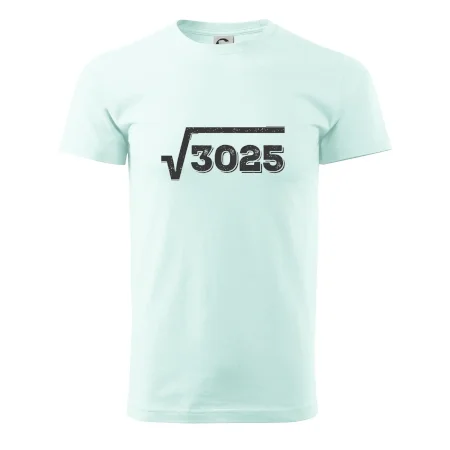 Narodeniny odmocniny 55