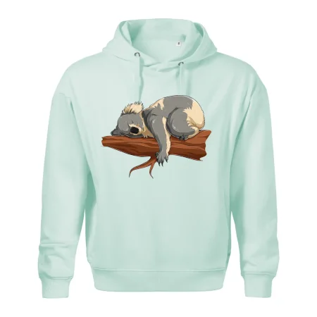 Koala na vetve