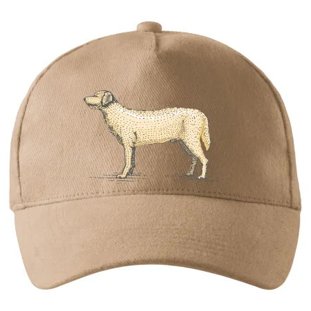 Vintage Labrador