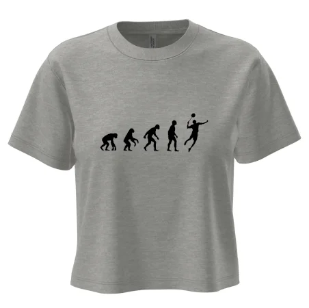 Evolúcia Bedminton