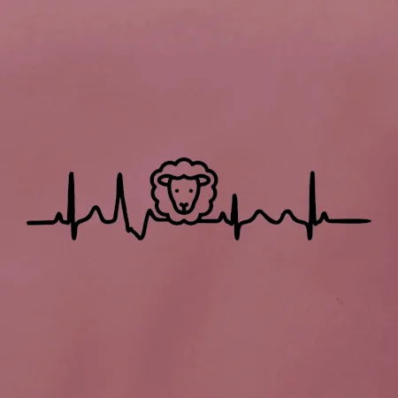 Ekg ovce