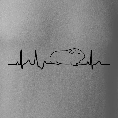 EKG morča