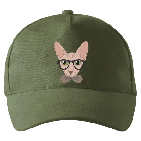 Hipster sphynx