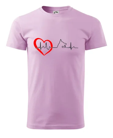 Nemecký ovčiak ekg